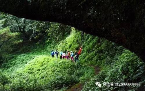 悬案：刹那惊颤